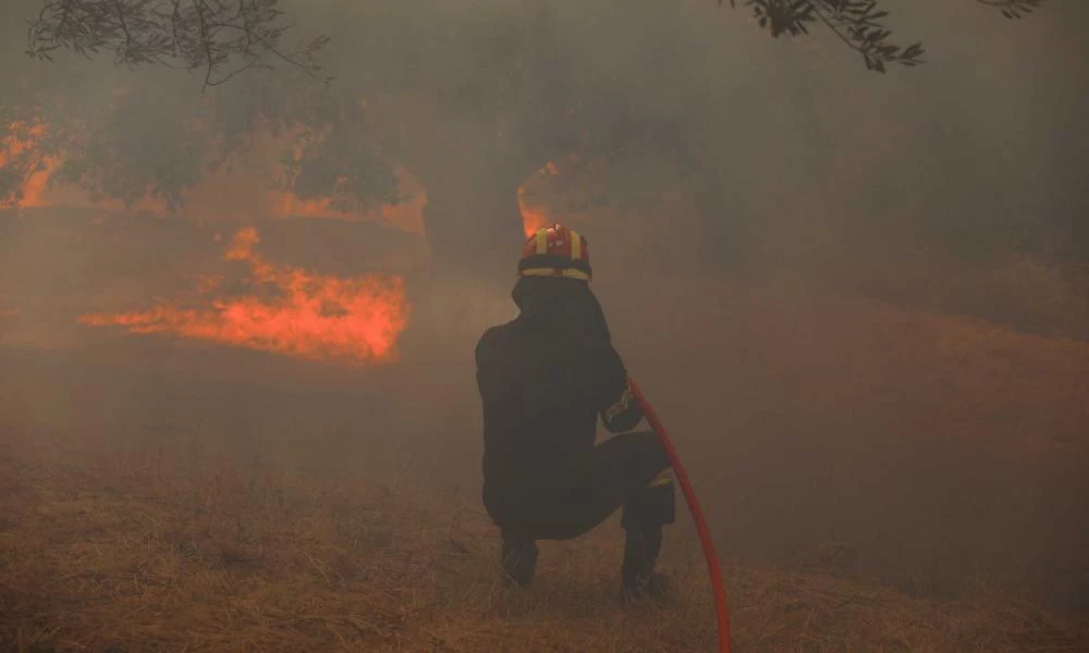 Φωτιά στην Ηλεία: Τα Canadair δάμασαν τις φλόγες – «Φρέναρε» το πύρινο μέτωπο